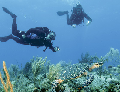 properly weighted wet suit divers float over a coral reef